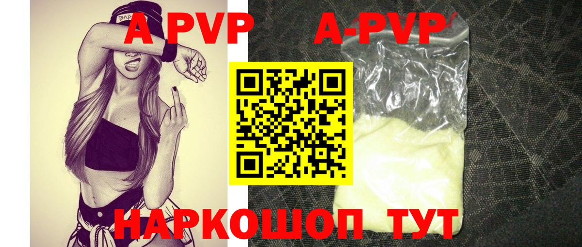Alfa_PVP СК Аргун