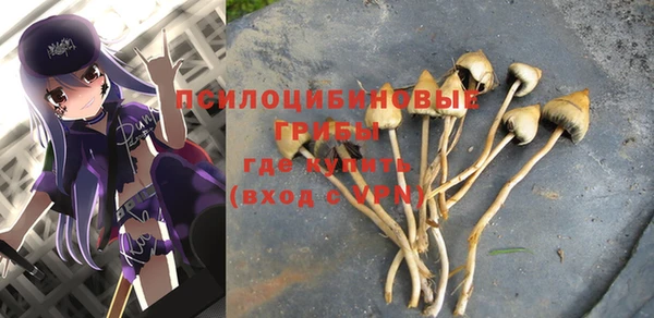 а пвп мука Осташков