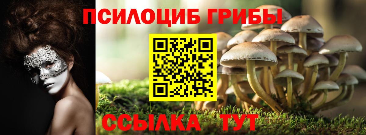 Псилоцибиновые грибы Cubensis  Галлюциногенные грибы Psilocybe  Аргун  Вход с VPN 