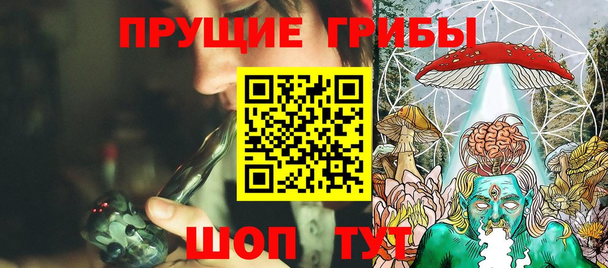 Галлюциногенные грибы мухоморы  Аргун  как найти наркотики  Псилоцибиновые грибы Psilocybine cubensis 